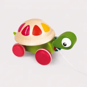 Janod Tortue à Promener Zigolos (BOIS)