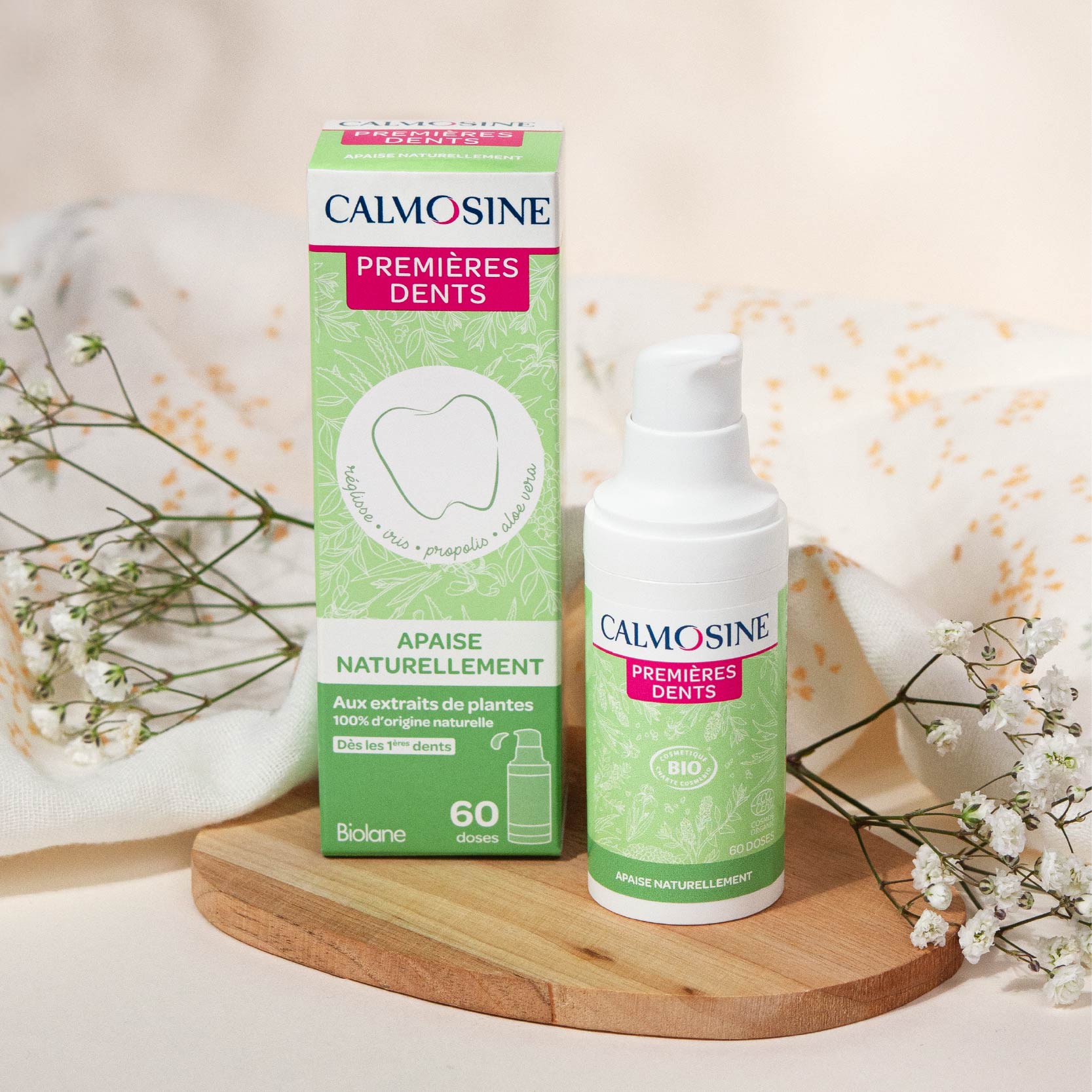 Calmosine Premières Dents